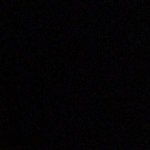 Meet your Posher, Kenny